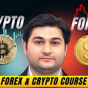 Forex & Crypto Course
